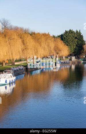 Fiume Great Ouse andando attraverso Ely, Cambridgeshire, Inghilterra Foto Stock