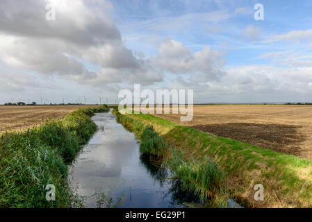 Paesaggio della palude con un fossato tra campi grandi, a distanza di turbine eoliche, sotto un cielo luminoso, Romney Marsh, Kent Foto Stock