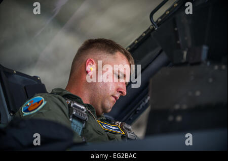 Il cap. Howard Turner, 54th Fighter Group pilota, esegue la pre-volo controlli prima di un allenamento sortie oltre il White Sands Missile della gamma 10,000 miglia intervallo a Holloman Air Force Base, N.M., e il agosto 5. La cinquantaquattresima FG è un distacco di Luke AFB, Ariz., ed è stazionato a Holloman per facilitare ad alta velocità, di formazione live armi da fuoco di formazione e di notte le operazioni di volo. Airman 1. Classe Aaron Montoya / Rilasciato Foto Stock