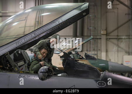 Senior Airman Michelle Park, un 354Manutenzione aeromobili squadrone capo equipaggio, assiste Lt. Col. David Graham, xviii aggressore comandante dello squadrone, in un cockpit su Eielson Air Force Base in Alaska, 17 genn. 2015. Più di 150 i manutentori manterrà il XVIII come in aria durante la sentinella Aloha e far fronte a nord di esercizi, che sono destinati a preparare U.S. Avieri, marinai e marines lungo con i partner della coalizione nel Pacifico teatro delle operazioni per le operazioni di emergenza in caso di necessità. Senior Airman Pietro Reft Foto Stock