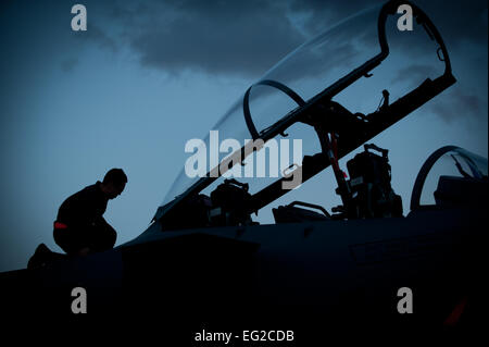 Senior Airman Aljon Alfonso esegue la fase di pre-flight controlla prima il suo assegnati F-15E Strike Eagle testa fuori per una notte la missione di formazione durante la bandiera rossa 14-1, Gennaio 30, 2014, presso la Base Aerea Militare di Nellis Nev. Missioni di notte sono state integrate con bandiera rossa per preparare i piloti e il personale di volo per le missioni in ambienti con scarsa illuminazione. Alfonso è un capo equipaggio dal 366 Manutenzione aeromobili squadrone a Montagna Home Air Force Base, Idaho. Airman 1. Classe Joshua Kleinholz Foto Stock