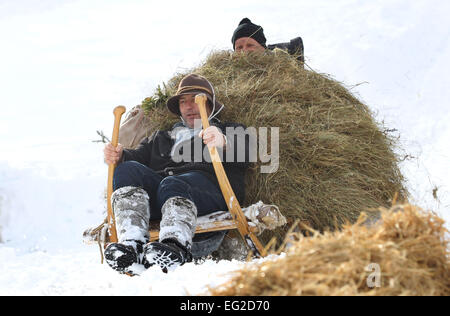 Pfronten, Germania. Xiv Feb, 2015. Partecipanti al tradizionale cornuto sled gara a testa in giù il corso sul loro fieno-laden sled di Pfronten, Germania, 14 febbraio 2015. La gara è considerato essere il più grande e il più antico cornuto sled gara di Allgaeu regione. Foto: KARL-JOSEF HILDENBRAND/dpa/Alamy Live News Foto Stock