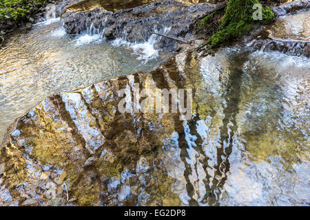 Con flusso di tufo dighe, Slade fondo valle, St Briavels, Gloucestershire, England, Regno Unito Foto Stock