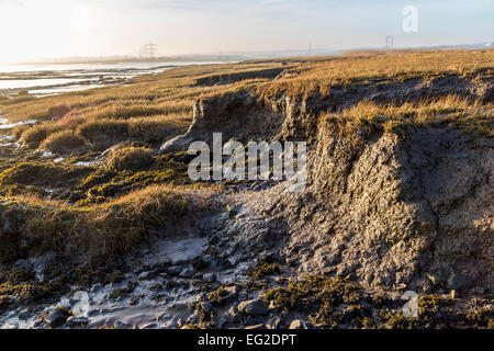 Erosione di argilla e mudbanks sulla Palude Salata al punto Beachley, fiume Severn, Gloucestershire, England, Regno Unito Foto Stock