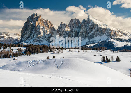 Scenic inverno vista di Alpe di Siusi o Alpe di Siusi con Sassolungo o massiccio del Sassolungo in background, Dolomiti, Alto Adige - Foto Stock