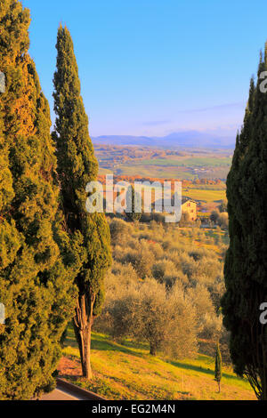 Vista della Val d'Orcia (Valdorcia), Pienza,Toscana, Italia Foto Stock