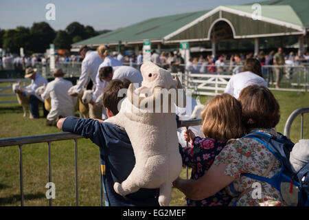 Sotto il sole estivo, madre e due figli, guarda le pecore concorrenza al grande spettacolo dello Yorkshire, Inghilterra, Regno Unito. Divertente, come ragazzo ha uno zaino come una ram! Foto Stock