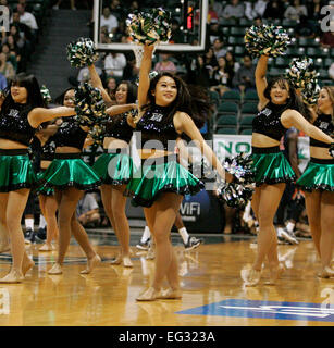 Honolulu, Hawaii, Stati Uniti d'America. Xiv Feb, 2015. L'Hawaii Rainbow Warrior ballerini durante l'azione tra la Cal State Fullerton Titans contro le Hawaii Rainbow Warriors a Stan Sheriff Center di Honolulu, Hawaii. Credito: Cal Sport Media/Alamy Live News Foto Stock