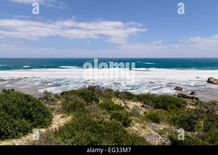 Vista della spiaggia di Cheviot da Cheviot Hill, Parco Nazionale Point Nepean, Portsea, Penisola di Mornington, Victoria, Australia Foto Stock
