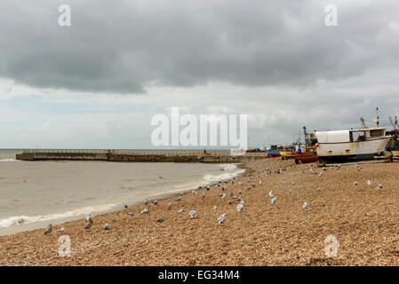 Vista di gabbiani e vecchie barche di pesce arenarsi sulla spiaggia di ciottoli al villaggio storico di Hastings, East Sussex Foto Stock