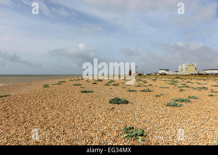 Vista degli edifici della centrale nucleare sulla spiaggia di ciottoli a Dungedness, Romney Marsh, Kent Foto Stock