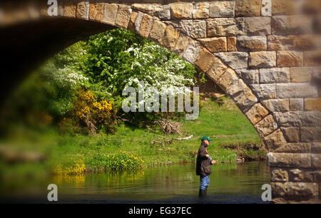 Pescatore al ponte sul fiume Coquet, Paperhaugh vicino a Rothbury, Northumberland Foto Stock