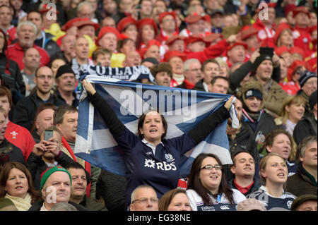 Lo stadio di Murrayfield, Edinburgh, Regno Unito. 15 Feb, 2015. RBS 6 Nazioni 2015 Round 2, Scozia vs Galles Credito: Rob grigio/Alamy Live News Foto Stock