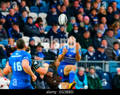 Dublino, Irlanda. 15 Feb, 2015. Guinness Pro12 campionato. Leinster contro draghi. Fergus McFadden (Leinster) raccoglie la palla alta. Credito: Azione Sport Plus/Alamy Live News Foto Stock