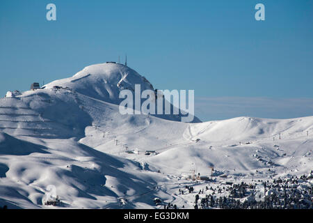 Col Rodella Selva Dolomiti Italia Foto Stock