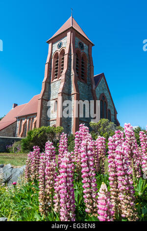 La cattedrale di Christ Church, con whalebone arch, Ross Road, Stanley, Isole Falkland - estate Foto Stock