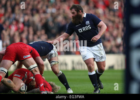 Edimburgo, Scozia. 15 Feb, 2015. 6 Nazioni del campionato. La Scozia contro il Galles. Scozia Geoff Cross. Credito: Azione Sport Plus/Alamy Live News Foto Stock