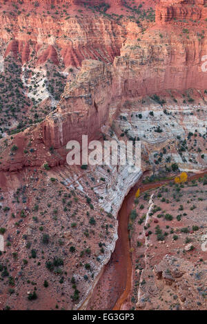 Il Fremont River si snoda attraverso la statale Goosenecks a Capitol Reef National Park nello Utah. Stati Uniti d'America. cadere Foto Stock