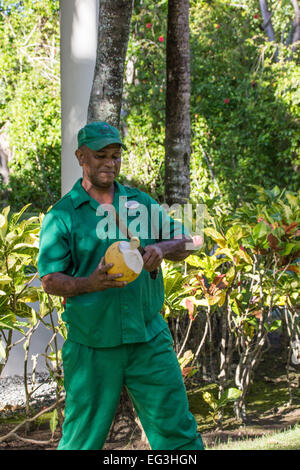 Un resort costolette di lavoratore una noce di cocco in modo tale che esso possa essere usato per bevande tropicali. Foto Stock