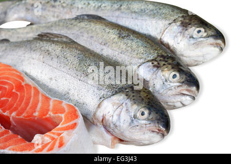 Trota fresca e la fetta di salmone su sfondo bianco Foto Stock