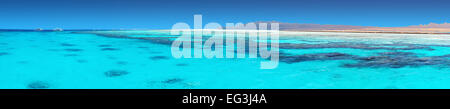 Crystal clear corallo blu acqua di mare rosso Foto Stock