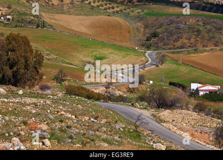 Strada tra terreni agricoli a bordo di El Torcal, Antequera, provincia di Malaga, Andalusia, Spagna Foto Stock