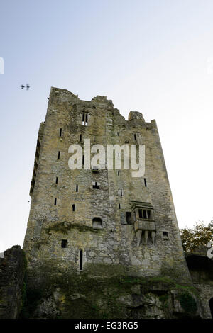 Parete nord Blarney Castle cork famoso giardini Irlanda Irish re di munster castelli medievali RM Irlanda Foto Stock