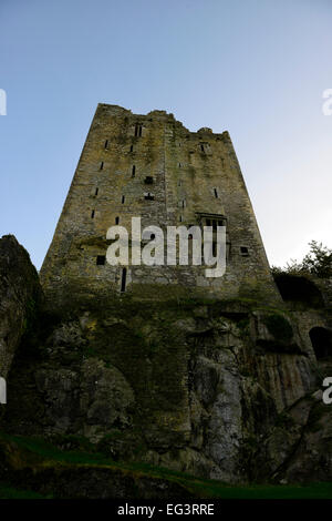 Parete nord Blarney Castle cork famoso giardini Irlanda Irish re di munster castelli medievali RM Irlanda Foto Stock