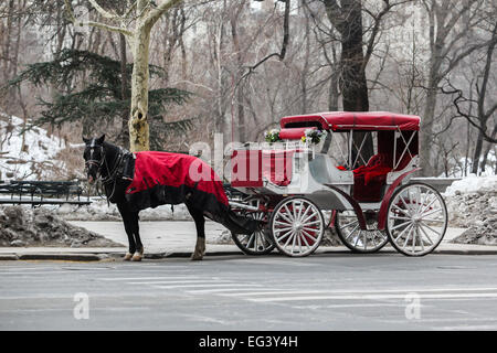 New York, NY, STATI UNITI D'AMERICA. 14 Febbraio, 2015. Una carrozza a cavallo vicino a Central Park si vede nella città di New York , USA il 14 febbraio 2015 Foto Stock