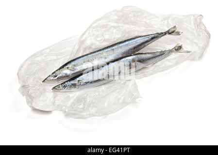 Congelati Saury Pacifico su un sacchetto di cellophane, isolato su sfondo bianco Foto Stock