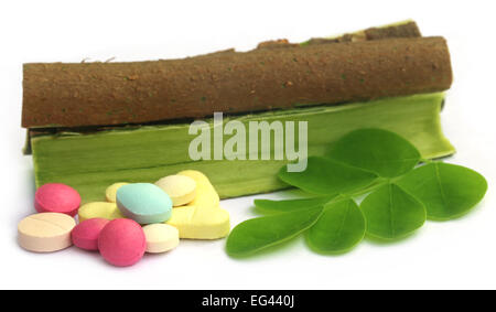 Moringa le foglie e le cortecce con pillole su sfondo bianco Foto Stock