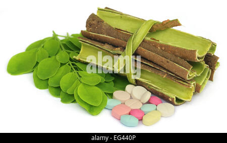 Moringa le foglie e le cortecce con pillole su sfondo bianco Foto Stock