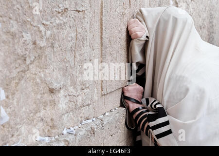 Gerusalemme, Israele. Xvi Feb, 2015. Un uomo si appoggia sulla parete occidentale nella preghiera, avvolto in un talit, un tradizionale preghiera ebraica scialle con tefilin, phylacteries, avvolto sul suo braccio sinistro e la testa. Credito: Nir Alon/Alamy Live News Foto Stock