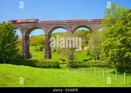 EWS treno che passa sopra la vasca di tintura di secco viadotto nei pressi di Armathwaite arrivino a Carlisle linea ferroviaria, Eden Valley, Cumbria, England, Regno Unito Foto Stock