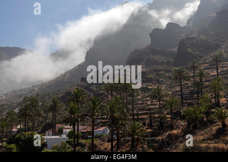 Isola Canarie palme da dattero (Phoenix canariensis), campi terrazzati, nuvole di accatastamento in montagna nella Valle Gran Rey, La Gomera Foto Stock