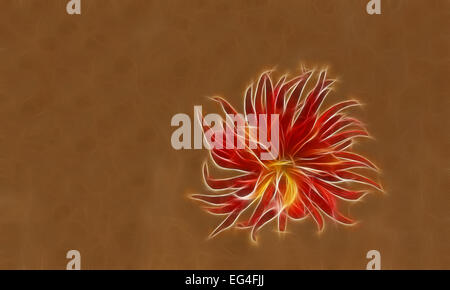 Abstract fiore frattale sfondo Foto Stock