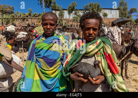 Il sabato di mercato del bestiame in Lalibela, Etiopia Foto Stock