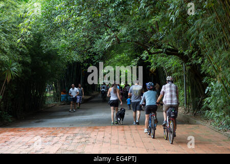 San Paolo, Brasile. 16 febbraio 2015. I visitatori sono visti vicino alla passerella di bambù in questo pomeriggio di lunedì al Parco Ibirapuera durante le vacanze di Carnevale a Sao Paulo, Brasile. Credit: Andre M. Chang/Alamy Live News Foto Stock