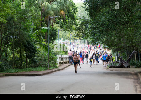 San Paolo, Brasile. 16 febbraio 2015. I visitatori camminano lungo il passaggio pedonale di questo lunedì pomeriggio al Parco Ibirapuera durante le vacanze di Carnevale a San Paolo, Brasile. Crediti: Andre M. Chang/Alamy Live News Foto Stock