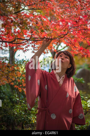 KYOTO, Giappone - Novembre, 18, 2014: giovane ragazza giapponese ammirando alberi di acero, momiji stagione in Kyoto Foto Stock