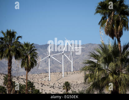 Palm Springs, California, Stati Uniti d'America. Xiv Feb, 2015. Il San Gorgonio Wind Farm, il più antico degli Stati Uniti hanno iniziato negli anni ottanta, assume il vantaggio di un effetto venturi dal vento che passa tra il Monte San Gorgonio e Monte San Jacinto che può raggiungere la velocità di 80 km/h. Il 2700 wind turbine ubicate presso il San Gorgonio fattoria eolica produce energia per circa 300.000 case. © David Bro/ZUMA filo/Alamy Live News Foto Stock