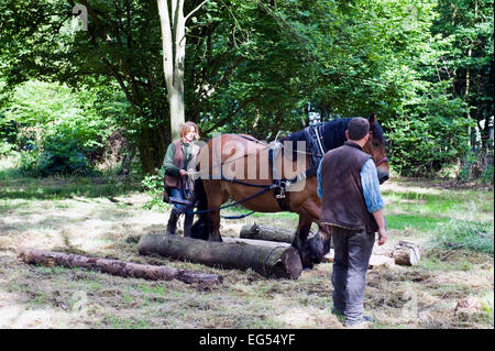 Cavallo essendo utilizzato per estrarre i registri Foto Stock