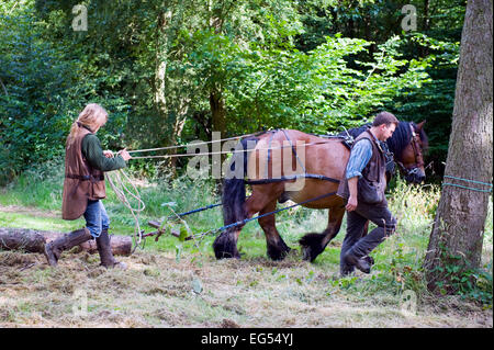 Cavallo essendo utilizzato per estrarre i registri Foto Stock