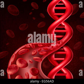 Il DNA delle cellule del sangue come concetto viens umana e nelle arterie conformata come una doppia elica simbolo per le informazioni di carattere genetico o di ingegneria biologica. Foto Stock