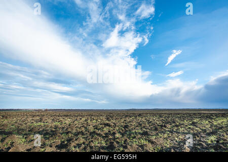 Il cielo blu con nuvole bianche su fileld arati in primavera Foto Stock