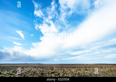 Il cielo blu con nuvole bianche su fileld coltivati in primavera Foto Stock