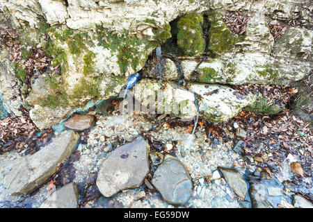 Acqua naturale la molla dal rock in Caucaso mountain Foto Stock
