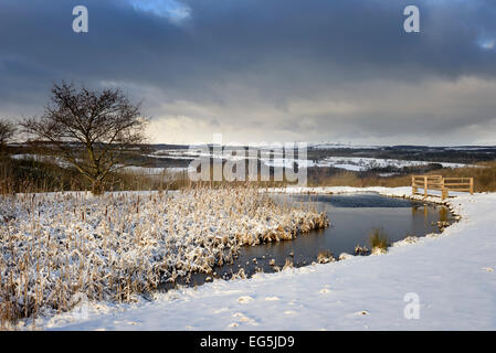 Stagno in inverno Foto Stock