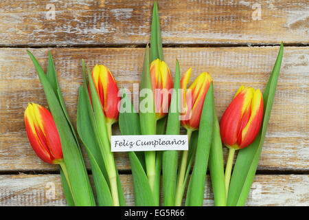 Feliz cumpleanos (che significa buon compleanno in spagnolo) card con tulipani rossi su legno rustico Foto Stock