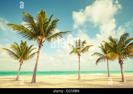 Le palme crescono sulla spiaggia vuota. Costa dell'Oceano Atlantico, Repubblica Dominicana. Vintage effetto tonico, vecchio stile per la correzione del colore Foto Stock